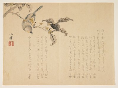 Bird on a Branch by Tanomura Shsai